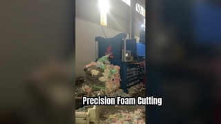 Μηχανή κοπής αφρού Vertical Band Knife Precision